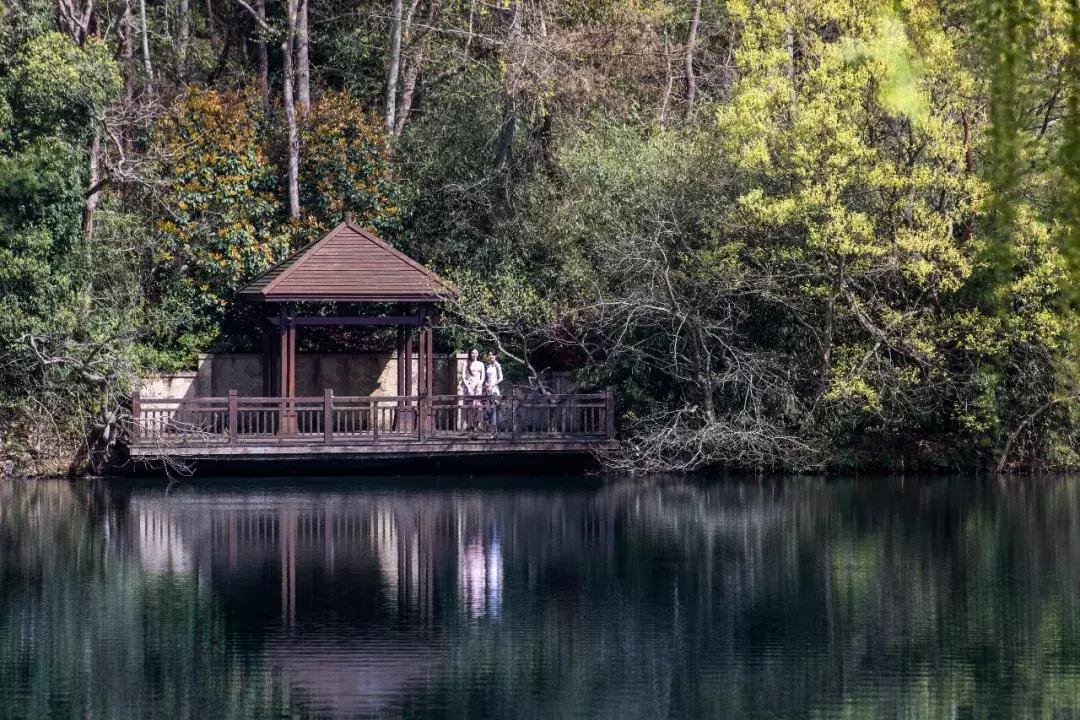 香格里拉经典风景,香格里拉自然风景