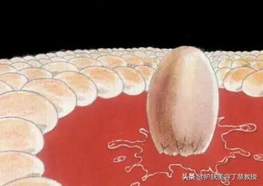 三招教你搞定痘痘肌,教你三招小技巧轻松解决痘痘烦恼