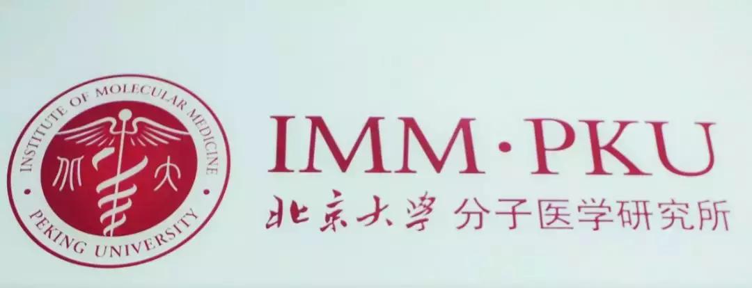 你的发际线还有救吗,你的发际线有救了