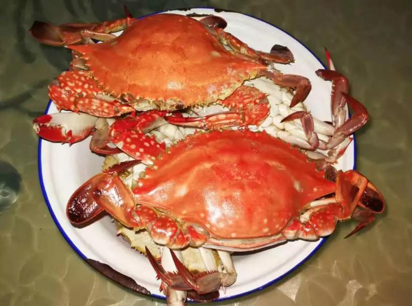 舟山白鲳,舟山的大白鲳