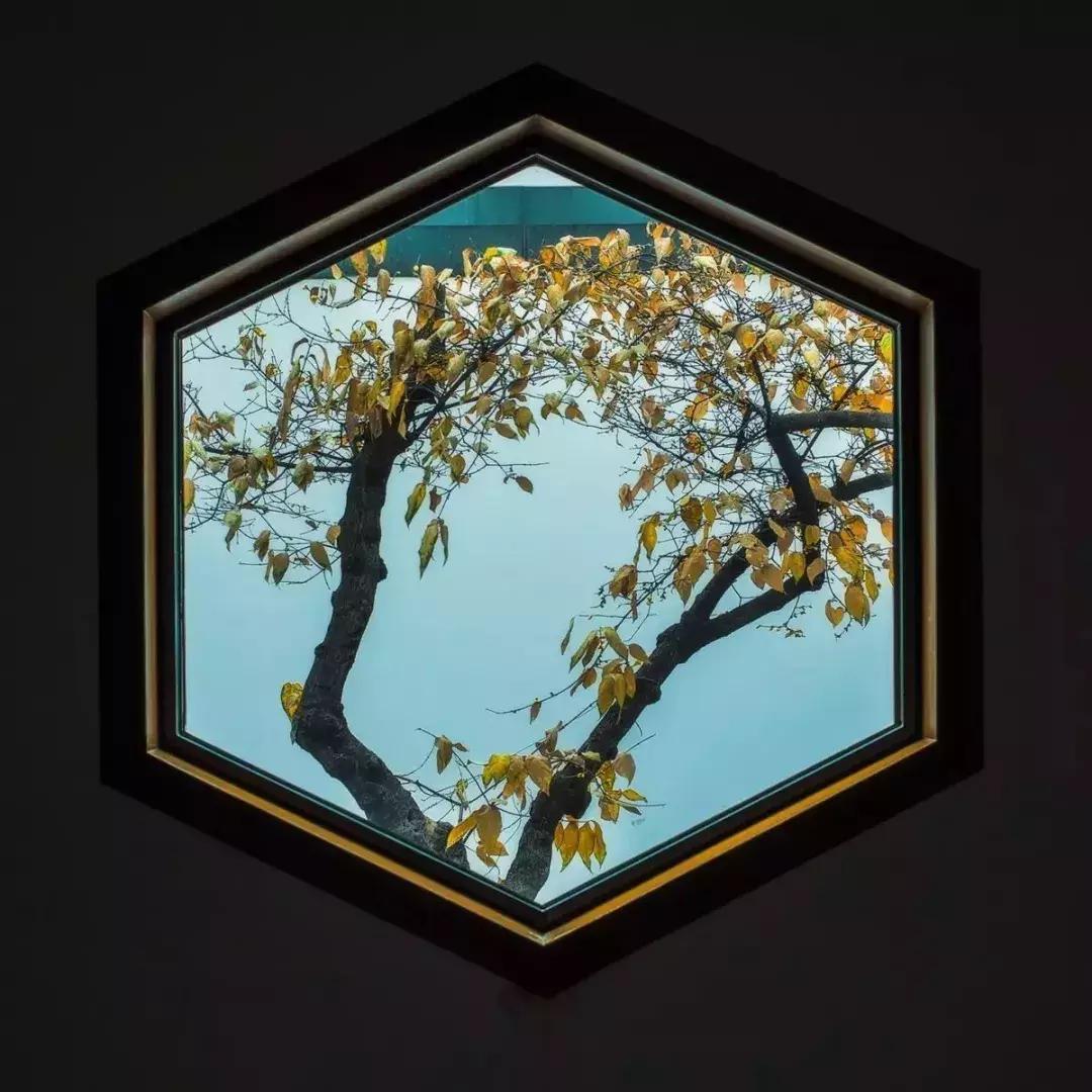 中国超大复古窗,33框门窗