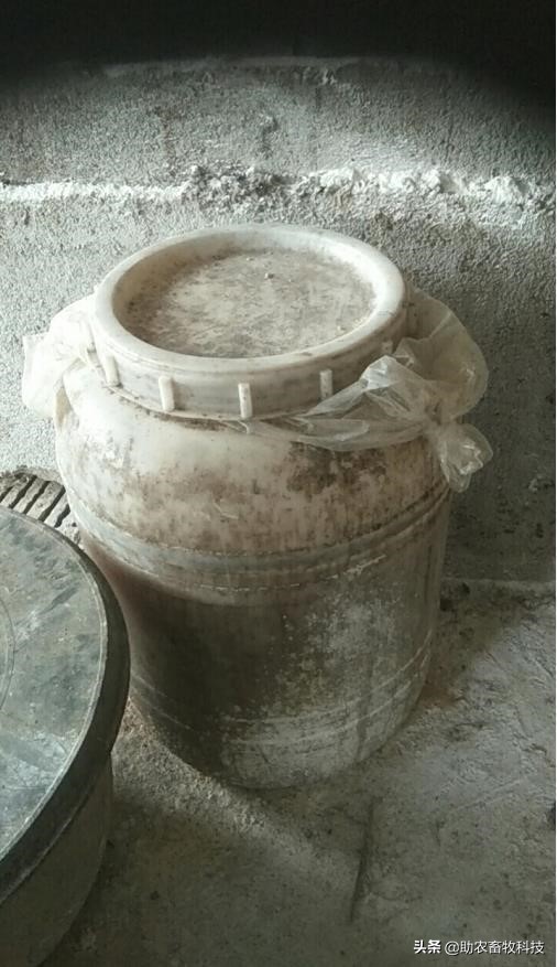 猪场防非措施很到位,猪场怎么防止病毒