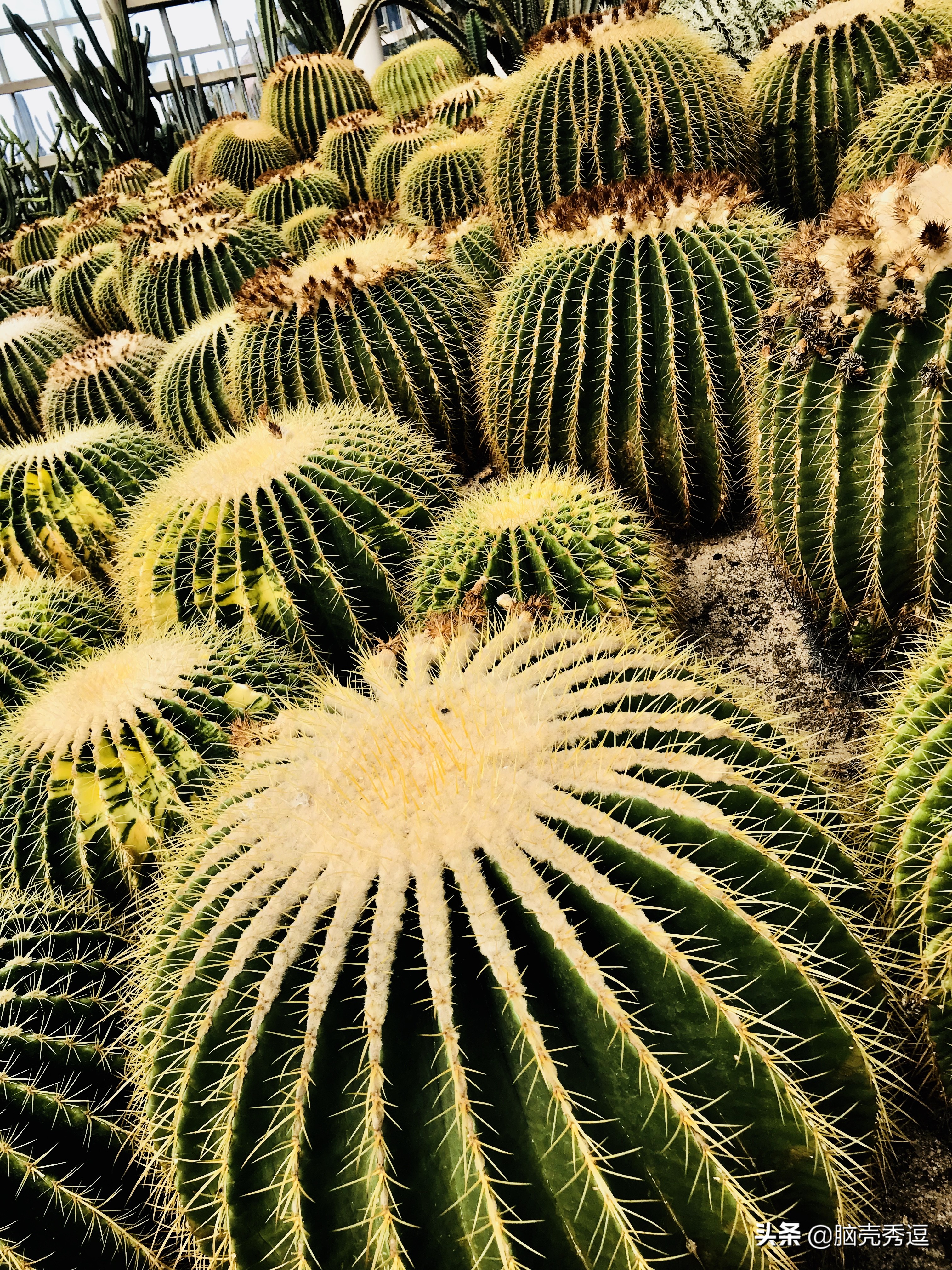 厦门四天自由行攻略最详细,厦门自由行攻略5天详细