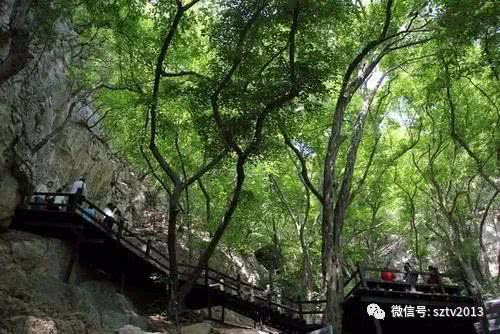 五一宿州风景,五一宿州旅游景点大全