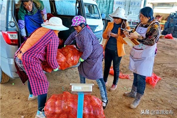 富村魔芋交易市场小区,广东最大魔芋批发市场