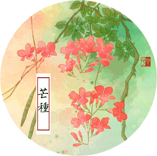 芒种早安励志语录,芒种早安语录