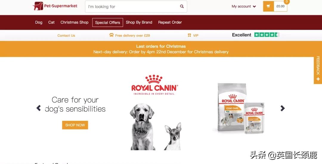 在英国哪里可以买宠物,英国如何饲养宠物猫咪