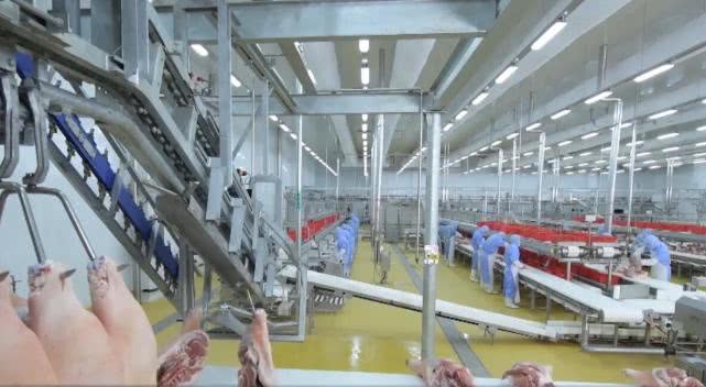 生猪跨省调运地方动检,动检员工