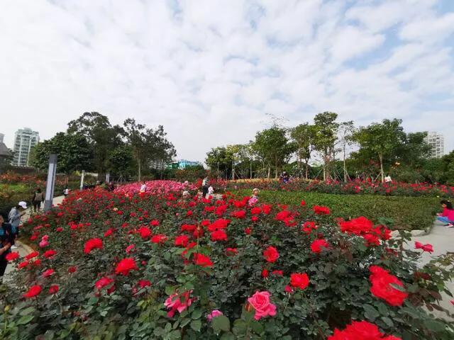 深圳主题公园推荐,深圳爱国主义主题公园