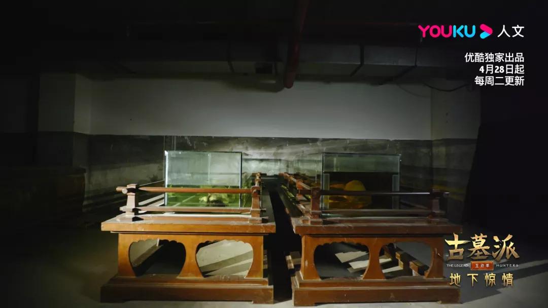 古墓派探墓纪录片,纪录片古墓派第一季