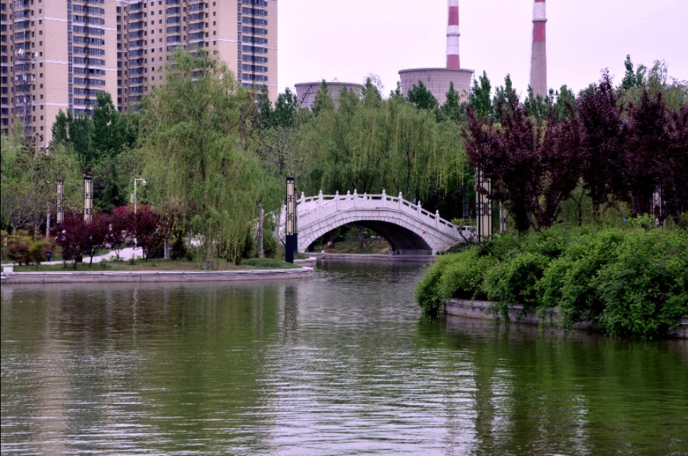 如果你路过西郊，有幽香沁入心脾，那定是从红光公园飘来的槐花香