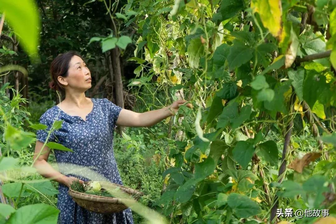 人间仙境般的世外桃源庭院,原始森林自建世外桃源