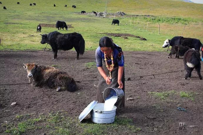 怀孕后，80%你认为需要忌口的食物，其实都可以吃！