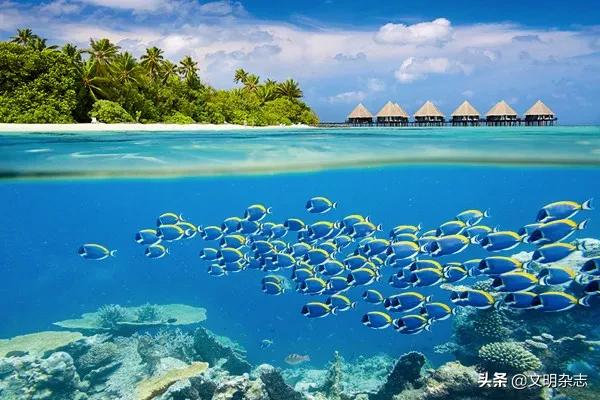 尼泊尔斯里兰卡马尔代夫不丹,孟加拉尼泊尔国家