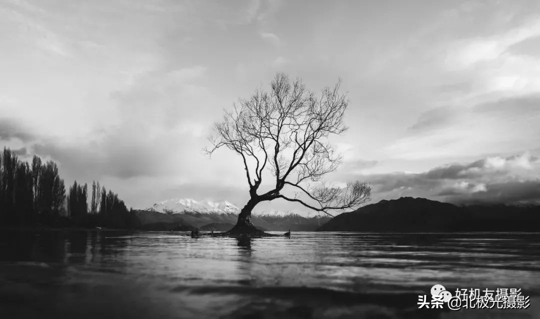 富士镜头怎么选择,富士中画幅镜头gf80和110怎么选