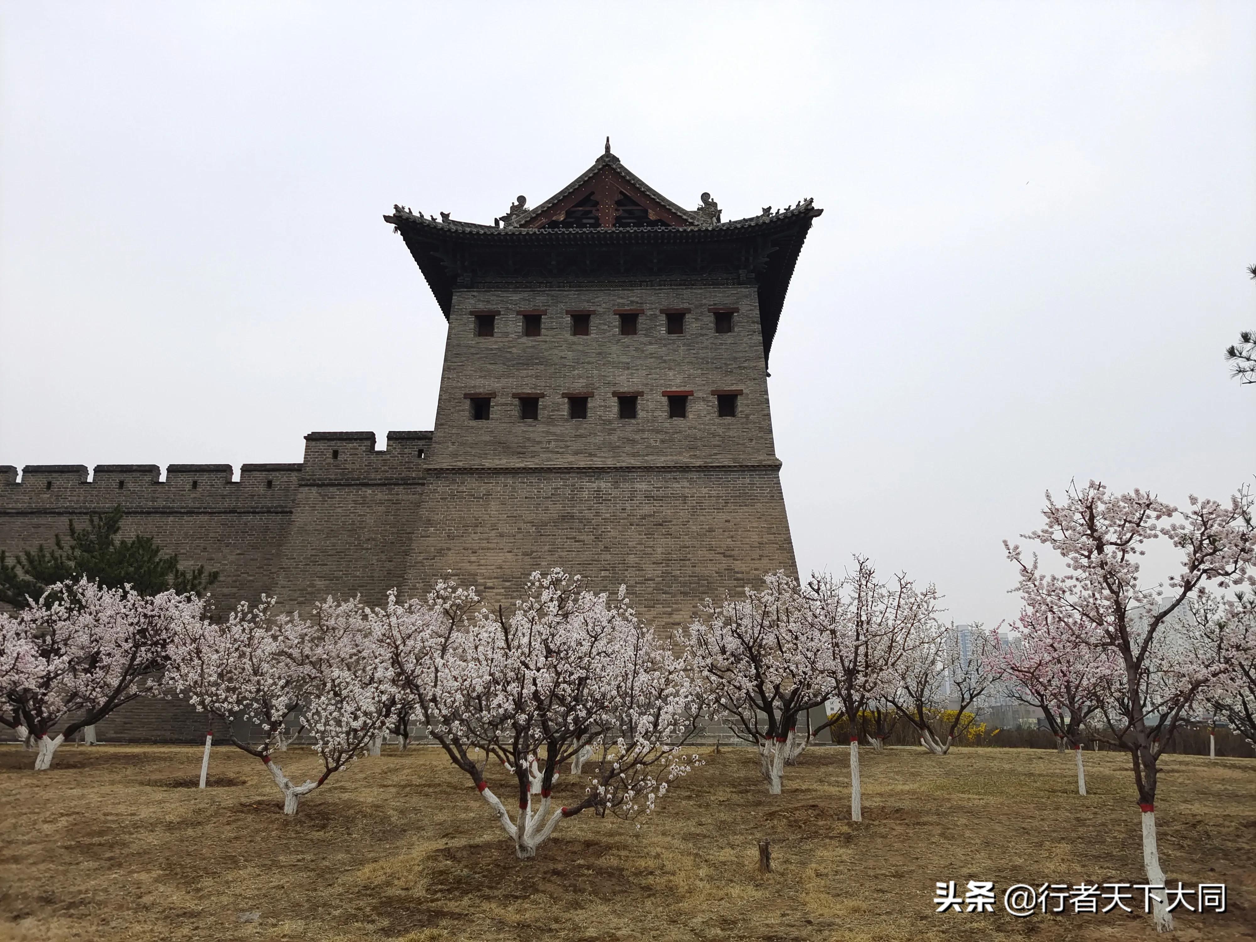 绝句如何讲授,绝句动作创编