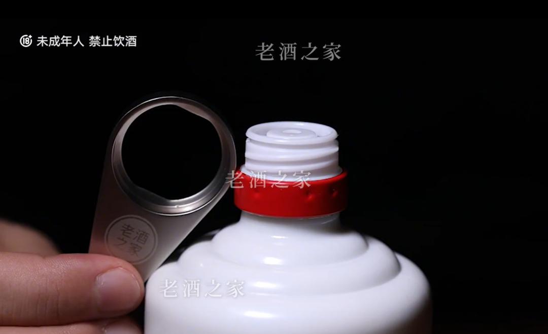 茅台倒灌技术视频,茅台防回灌技术