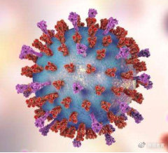 新型冠状病毒和冠状病毒如何区分,冠状病毒的介绍