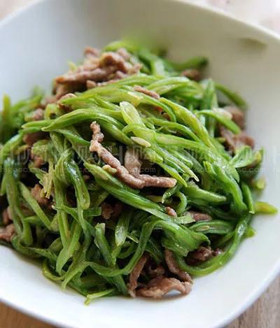 不可小瞧的猫毛,不可小瞧的扁豆