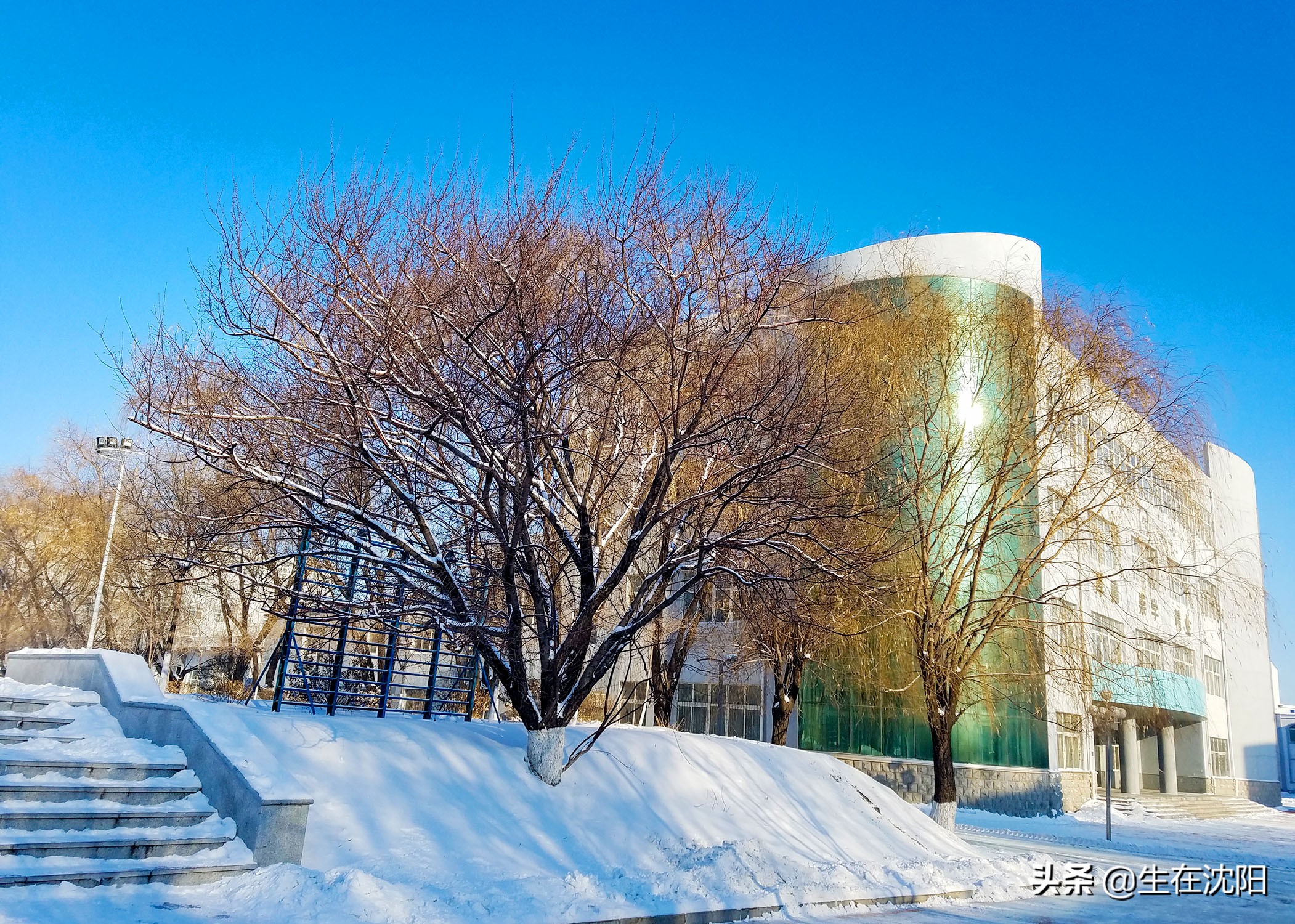 辽宁经济管理干部学院2010,辽宁经济管理干部学院厉害吗