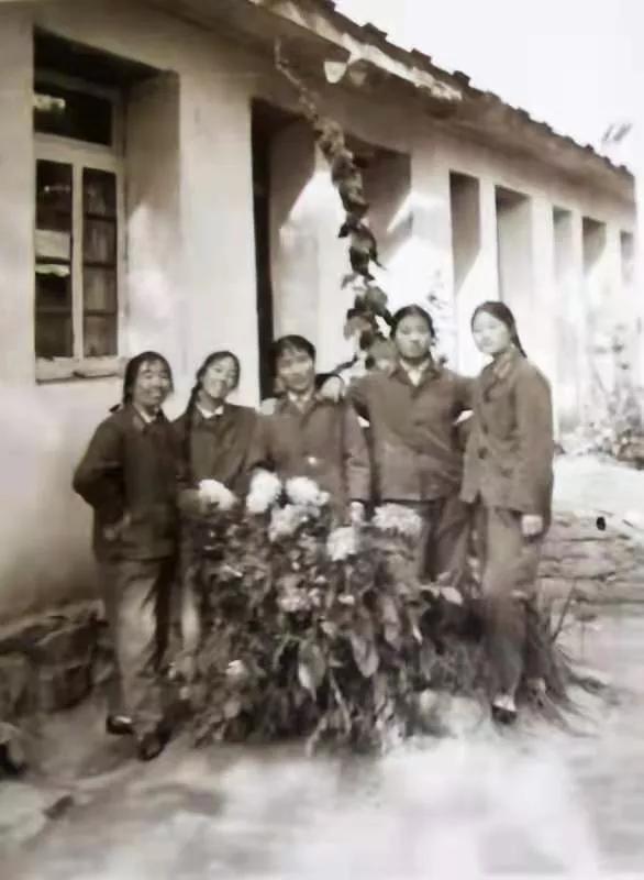 在*藏西**,我们的第三*战野**医院,我们的芳华……