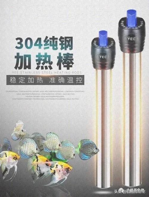 欧泽龟可以加温养吗,加温养龟都需要什么