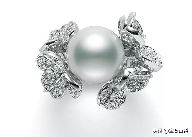 澳白珍珠和南洋金珍珠,澳白南洋白珍珠