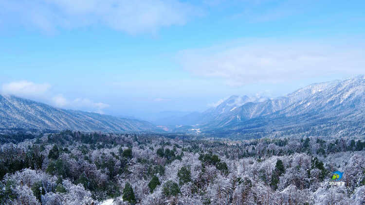 鑽ョ粡鑷劧鏁欒偛,鑽ョ粡鑷劧鏁欒偛鐮斿鍩哄湴
