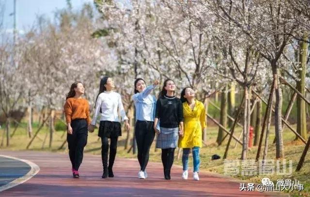 跑过眉山的6园3桥8路不负“东马”不负美景