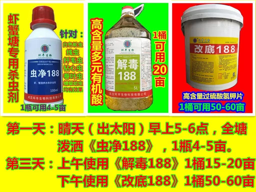 哪种虾易养殖价格又高,6元一斤虾的养殖方法