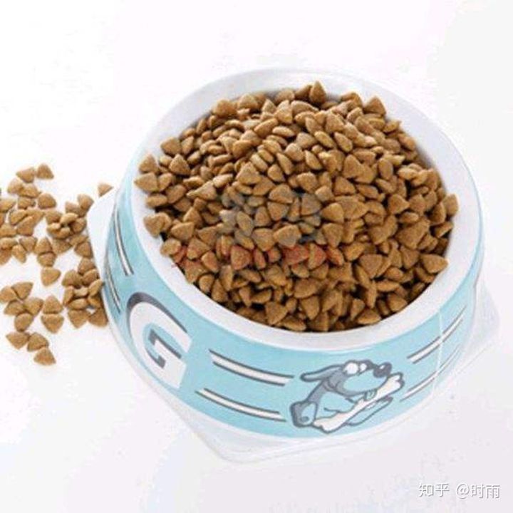 养一只猫的花销预算,养七只猫一个月花销