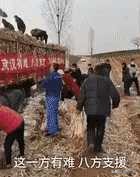 有啥捐啥！继「硬核河南」后，河南人把“厚道河南”做到了极致