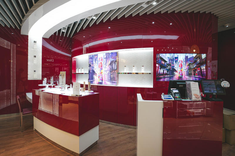 一人一猫环游,一人一猫旅行