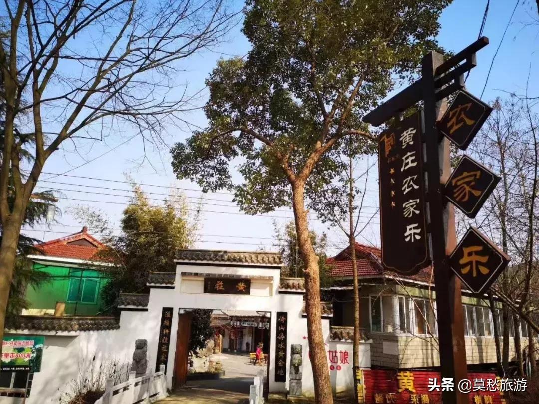 南京怪坡风景区,江宁怪坡风景区