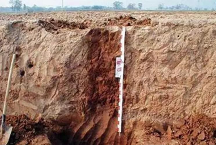 怎么检测土壤有没有肥力,如何判断土壤肥力好不好