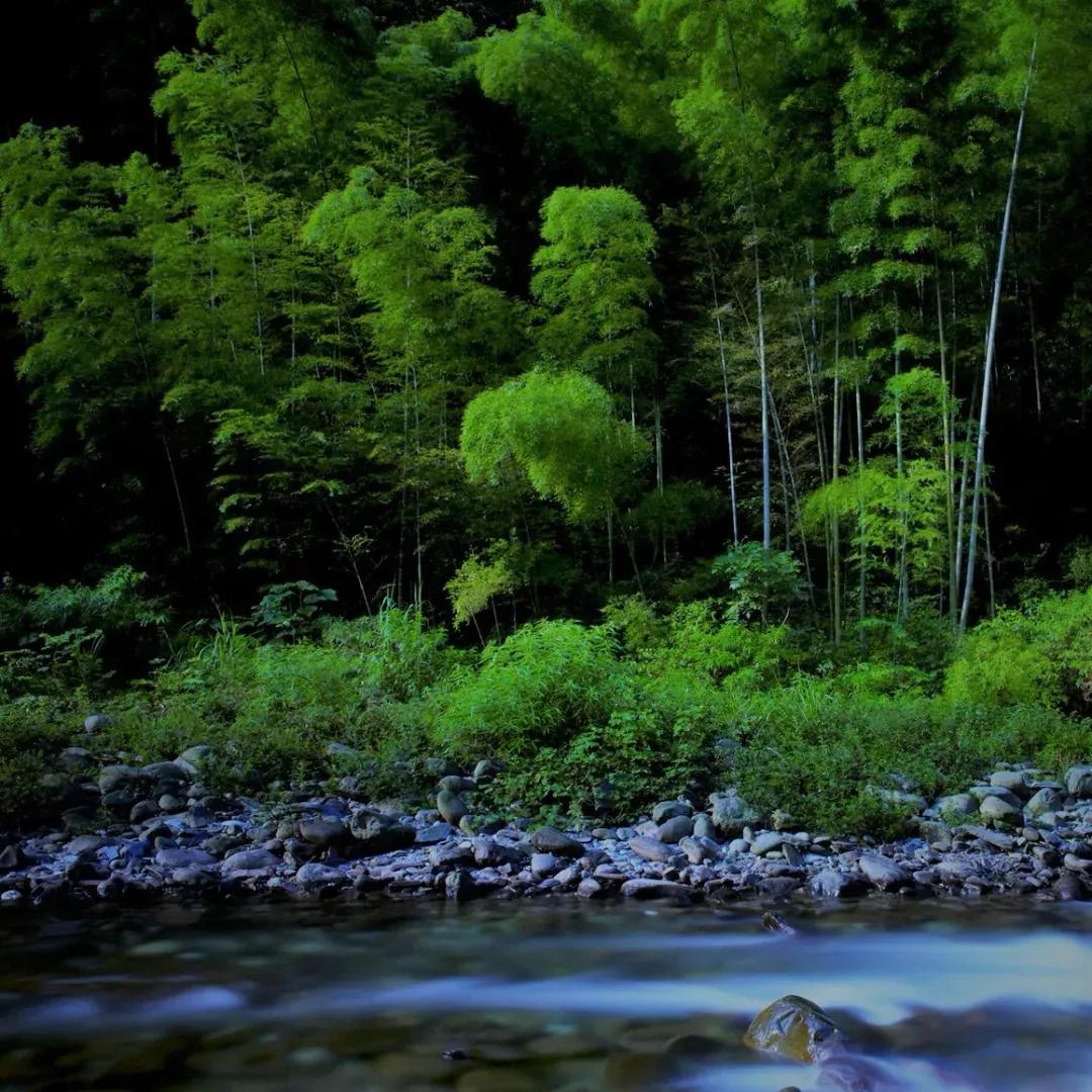 一去梵净，便懂了最美中国风