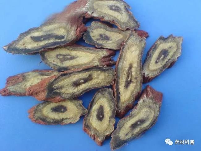 一味丹参抵四物哪些人适合吃,一味丹参胜四物怎么讲