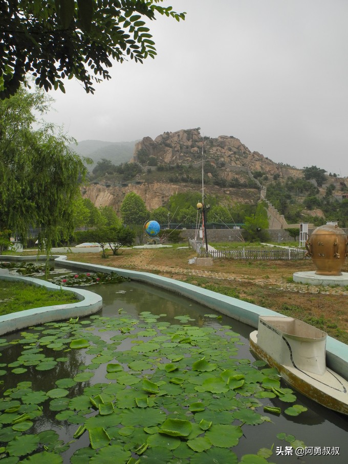 青岛二中2019高考成绩,经验分享大学专业