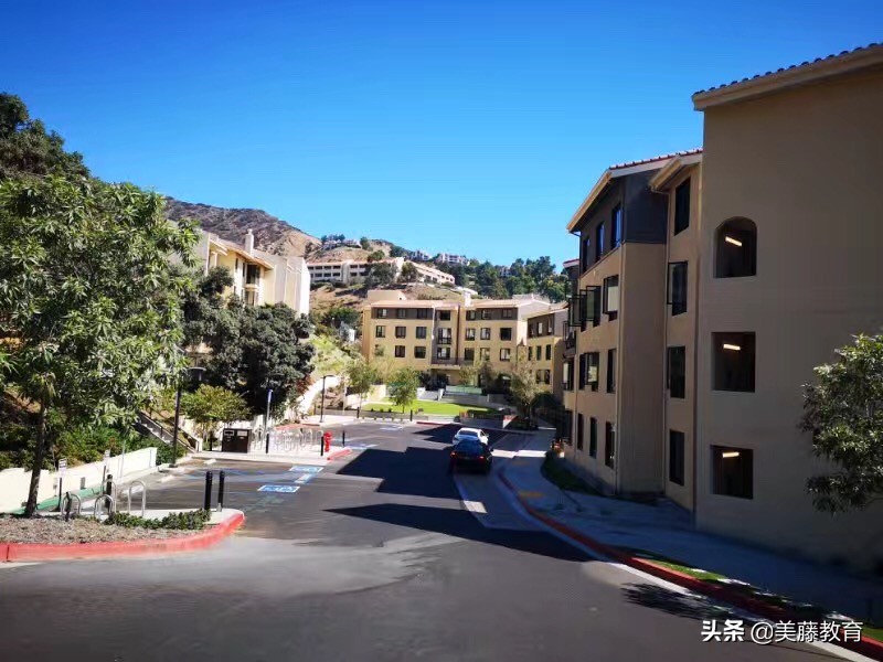 德州农工大学为什么便宜,德州农工大学优缺点