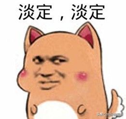 轻食沙拉开店准备,轻食沙拉有什么好店