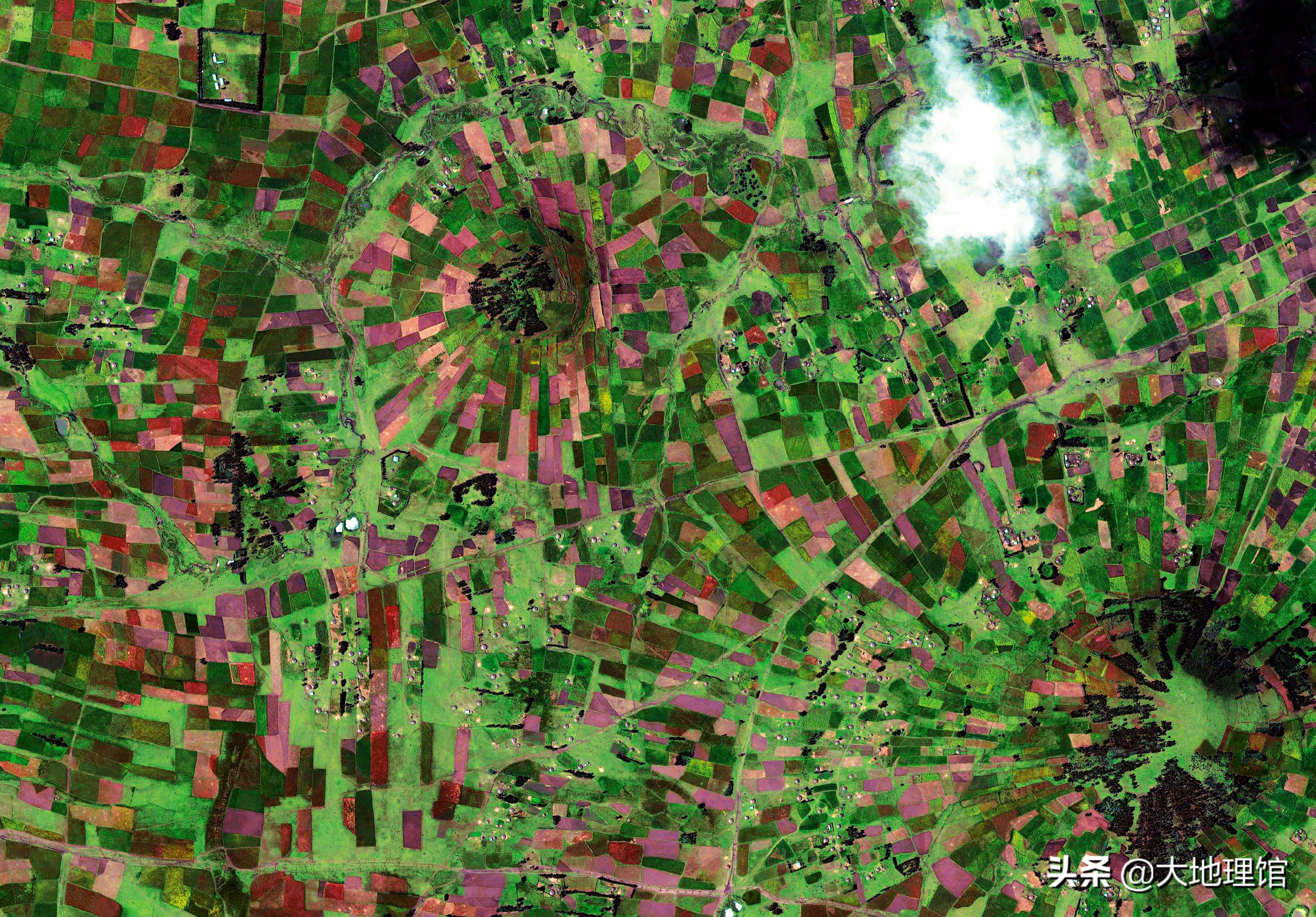 埃塞俄比亚为什么坠机,埃塞俄比亚坠机现场