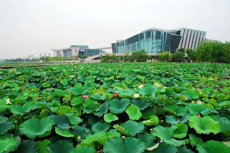 武汉21个免费景点,武汉43个免费景点出炉