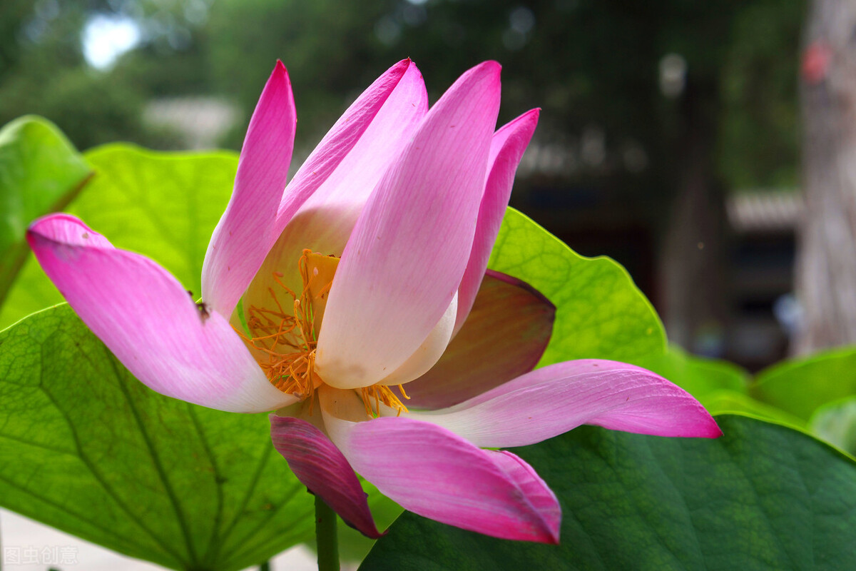 产科女医生的故事,妇产科门诊精彩故事