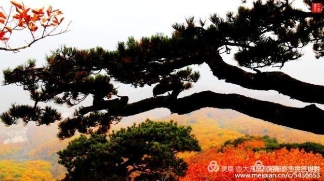 美丽的大连风景区,美丽的大连金州湾