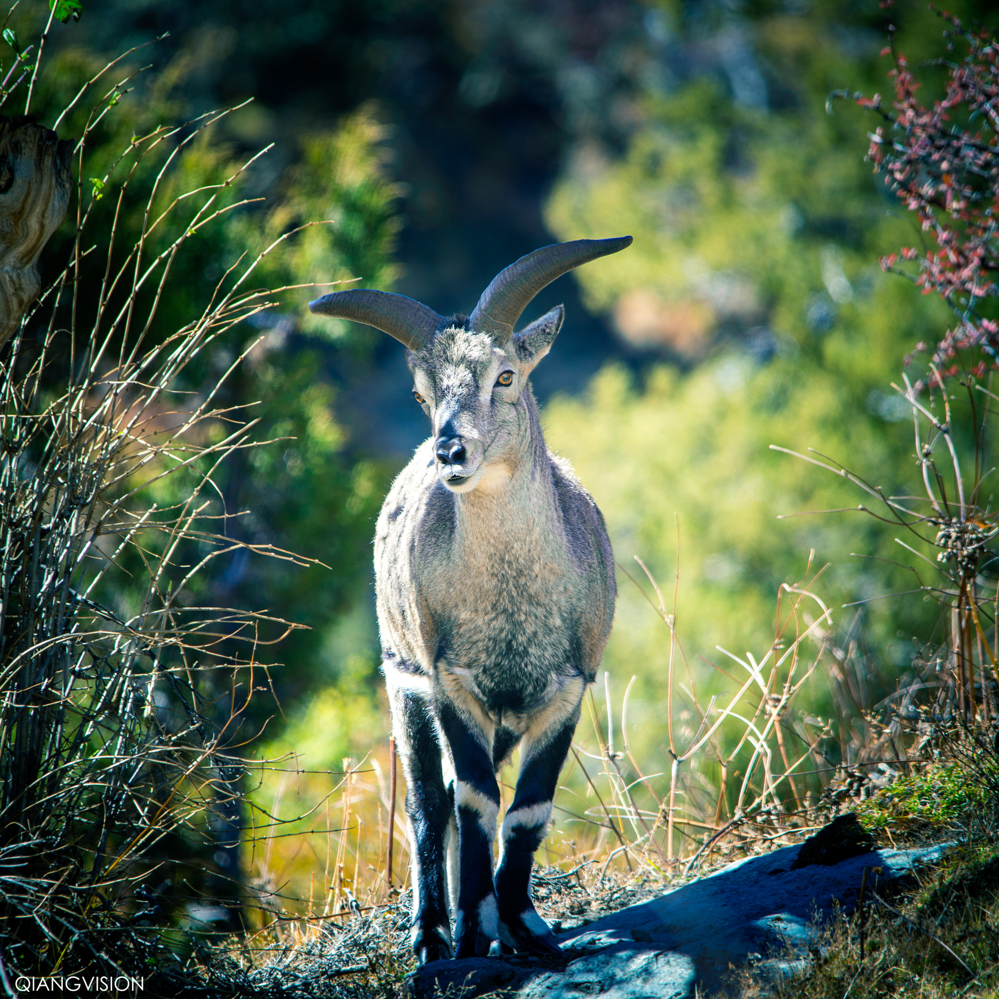 川西赏秋什么时间最好,推荐全球十大最佳赏秋胜地