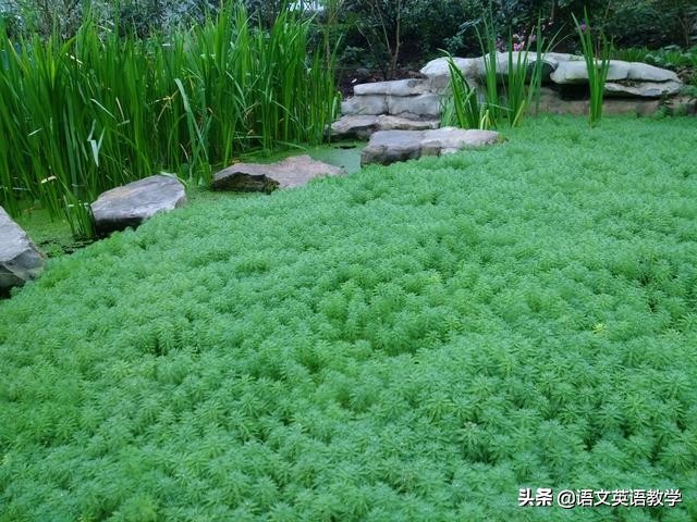 如何区分词的本义引申义比喻义,词语本义和引申义举例