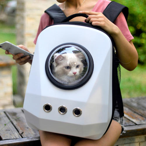 猫咪第一次用猫包注意什么,猫咪自制包