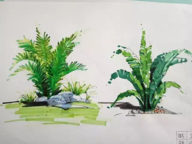 手绘教程零基础入门上色,手绘画上色技巧