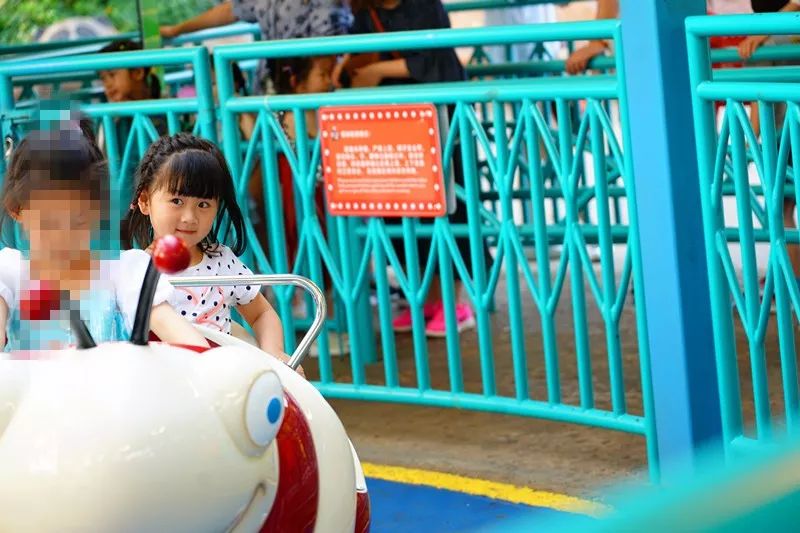 广州旅游攻略长隆动物世界,亲子游广州长隆动物园