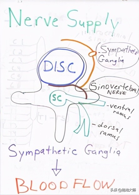 手神经外伤康复视频,治疗手神经损伤的药